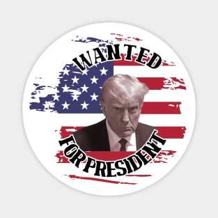 Wanted for President Magnet